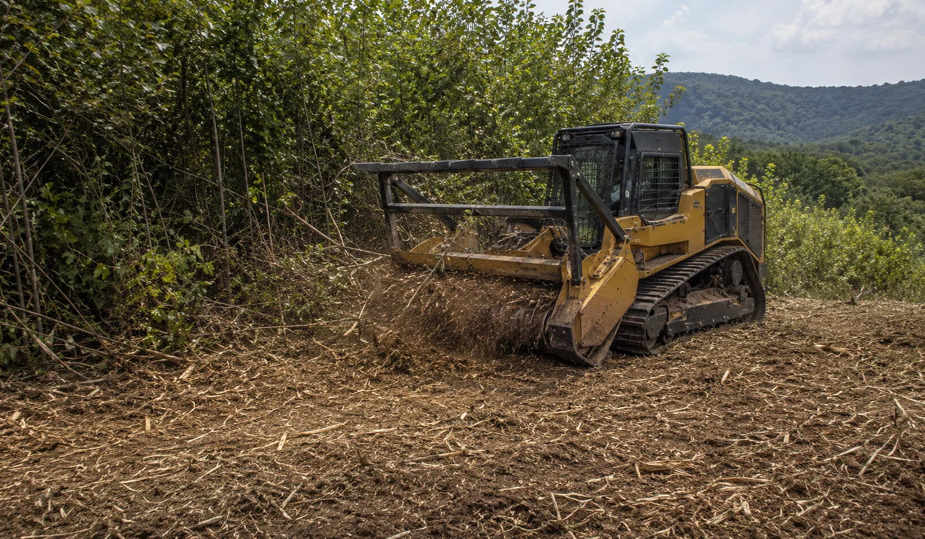 Tracked forestry mulcher processing brush and saplings