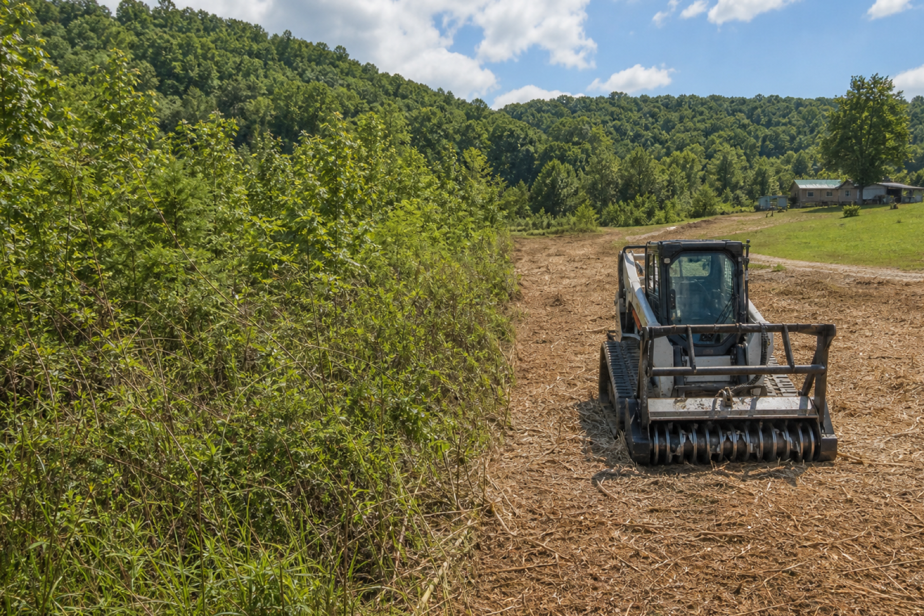 Overgrown brush being cut and mulched on rural property