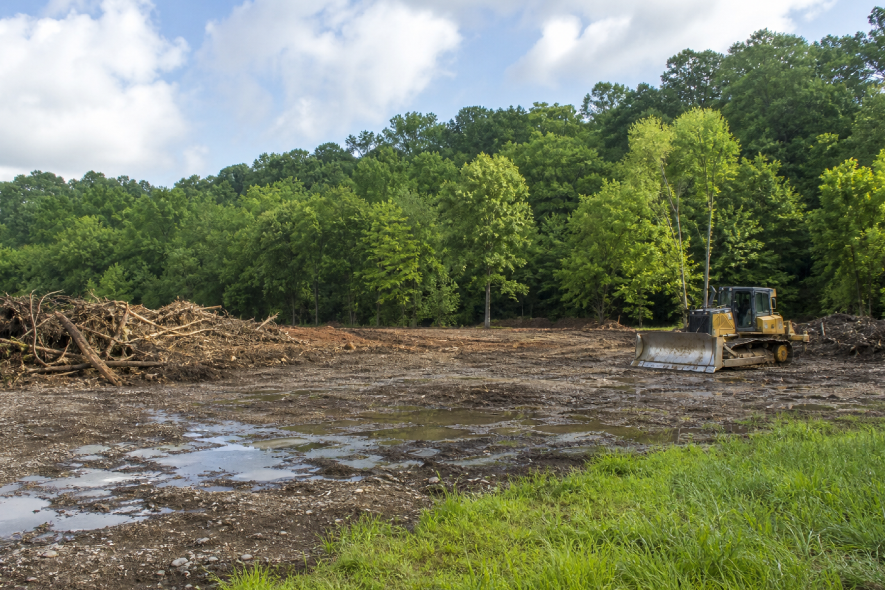 Wooded rural ground drying after heavy rain