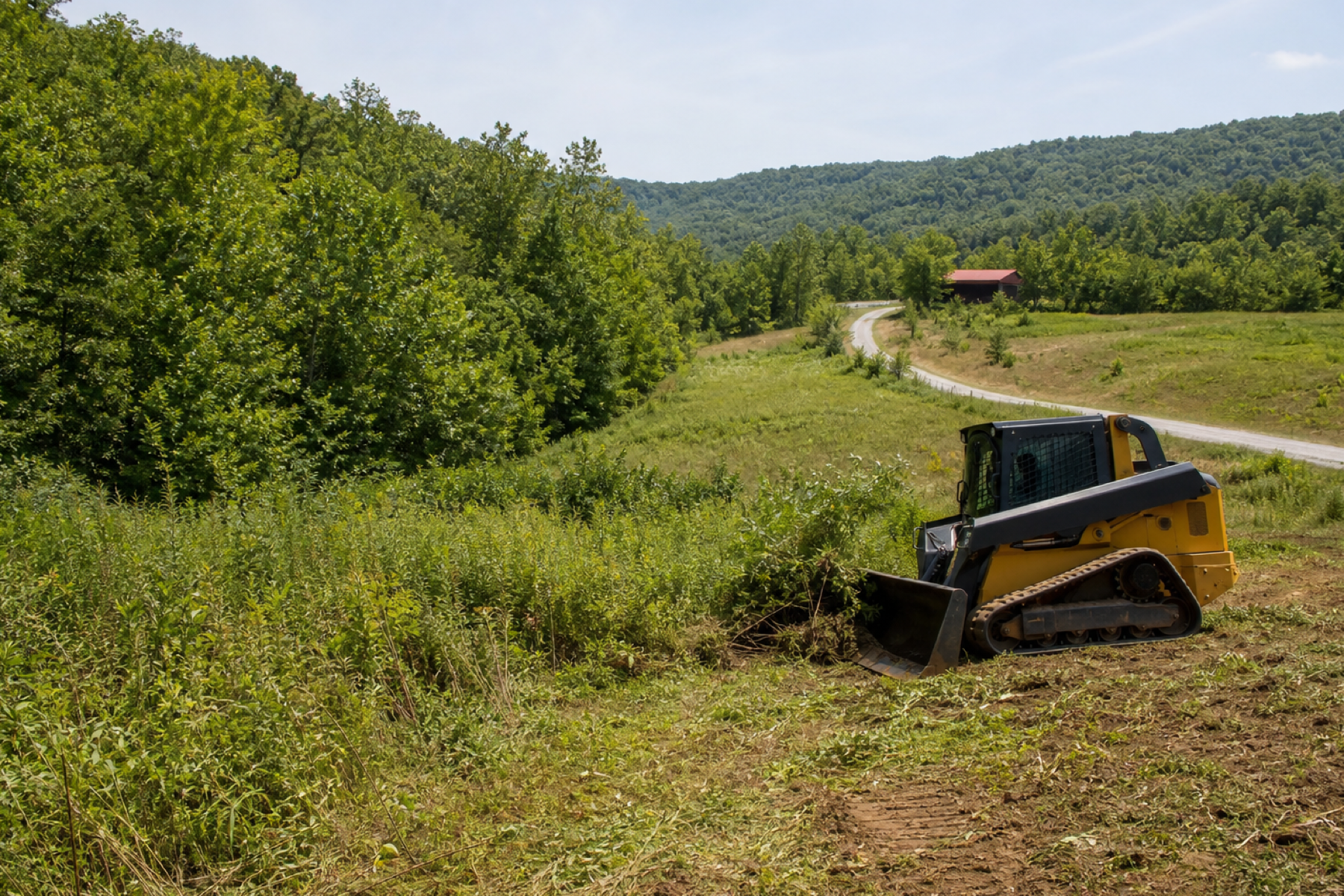 Overgrown parcel being evaluated for usable acreage