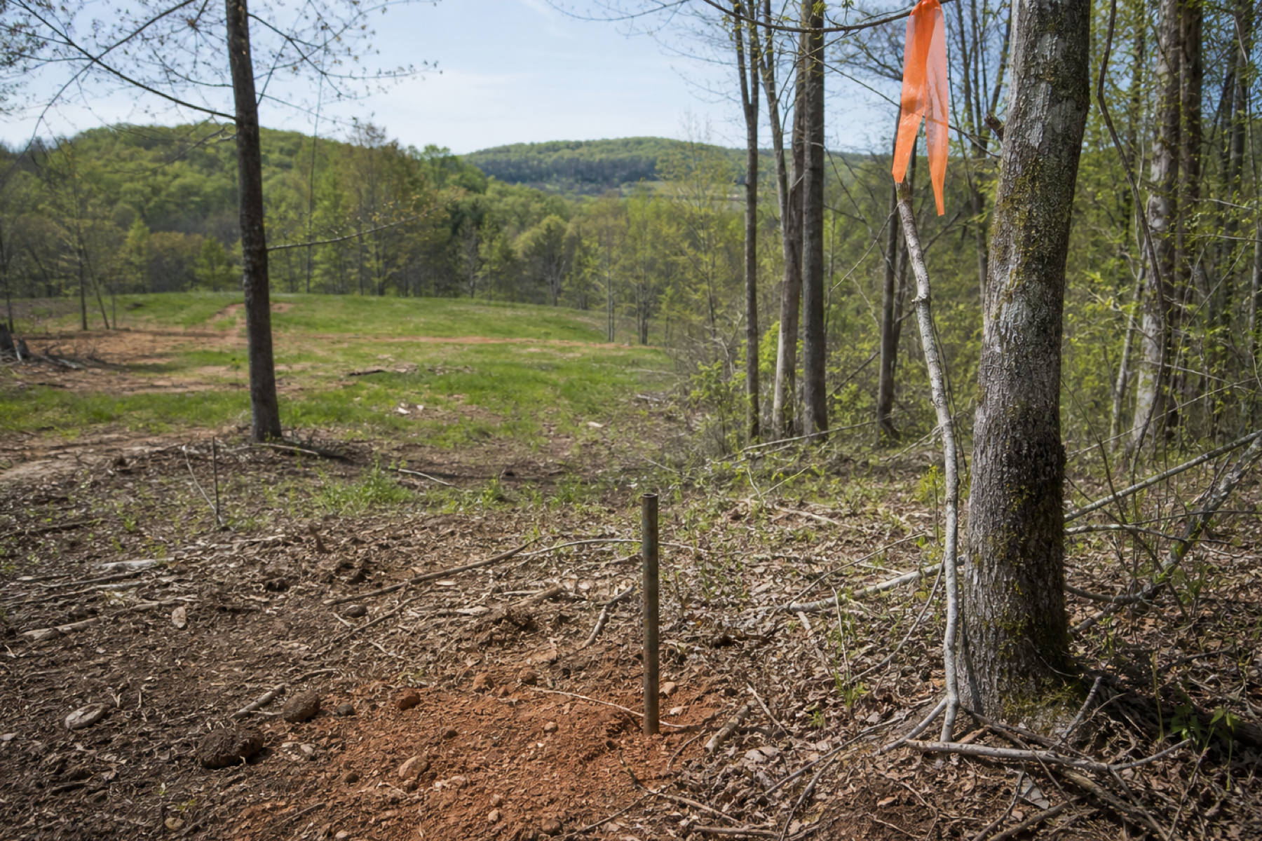 Iron corner pin marking a wooded property boundary