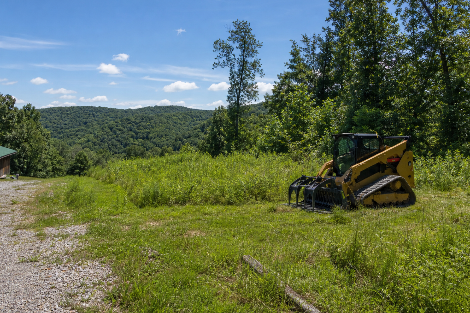 Wide view of overgrown rural property for estimate photos