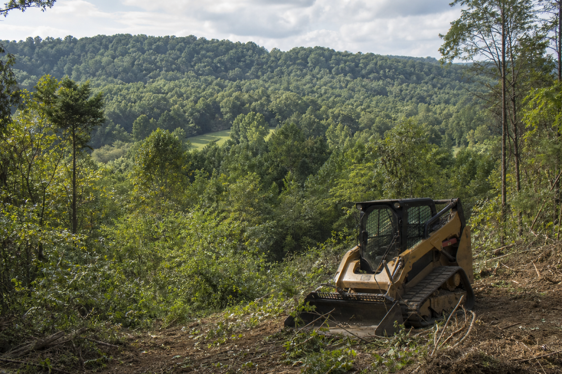 Wooded Tennessee acreage showing brush, mature trees and varied terrain before clearing